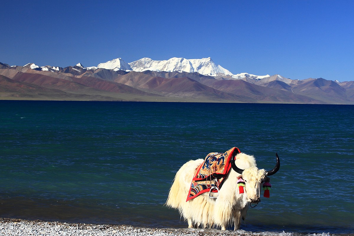 Nam Tso and_Nianqingtanggula