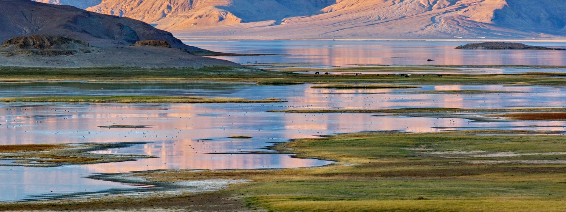 Pangong Tso