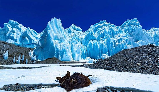 Glacier Rongbuk