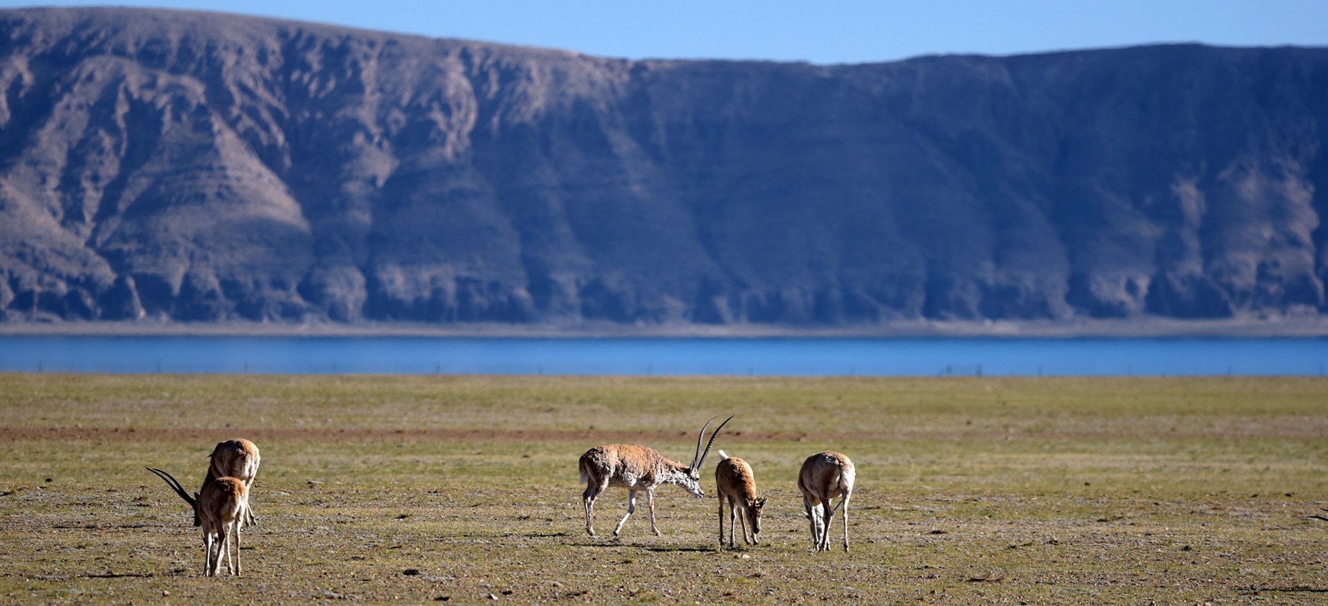 Voyage d’Aventure vers Kailash via Qiangtang au Nord du Tibet