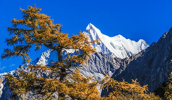 Voyage en Voiture du Sichuan au Tibet via Yun’nan