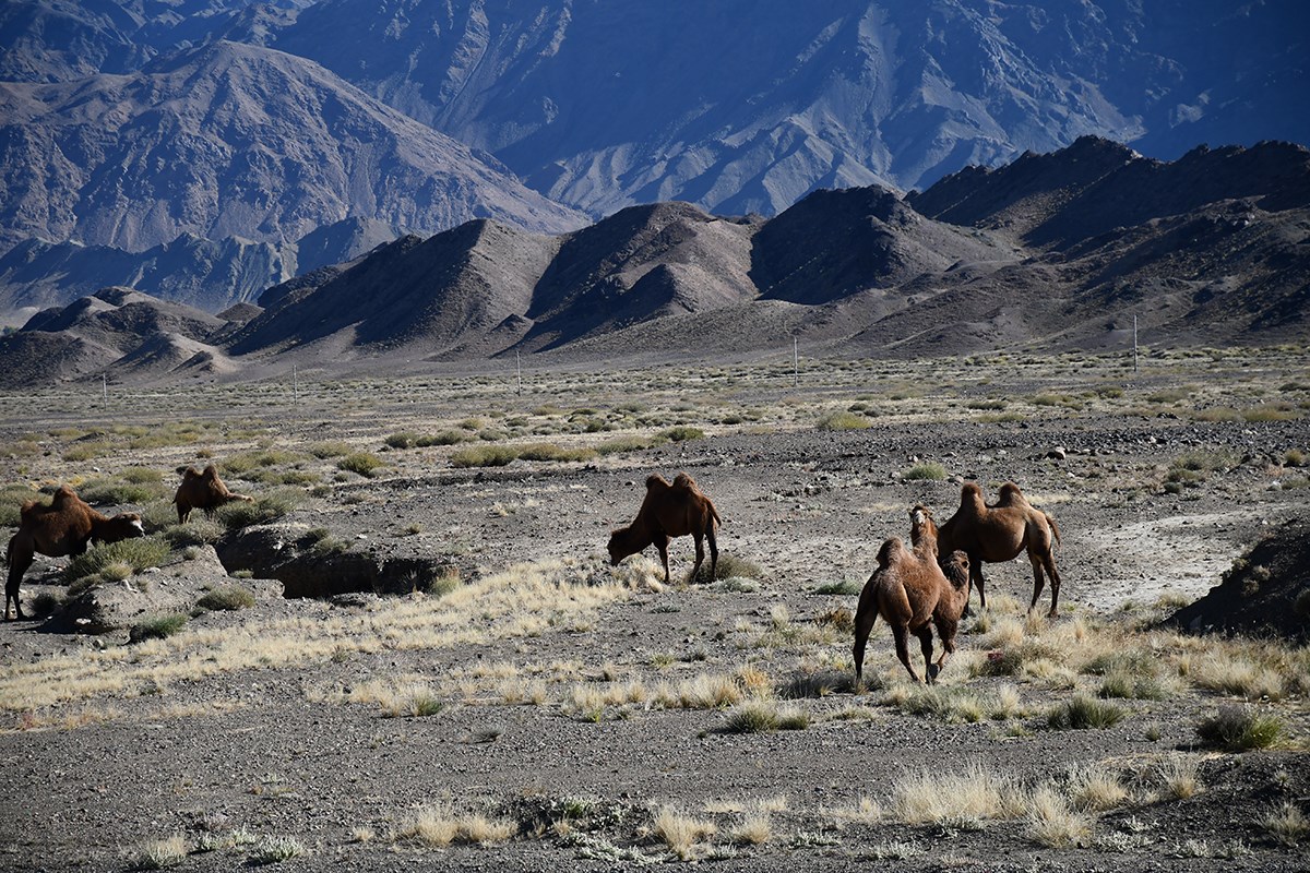 Tianshan Landscape | Photo par Liu Bin