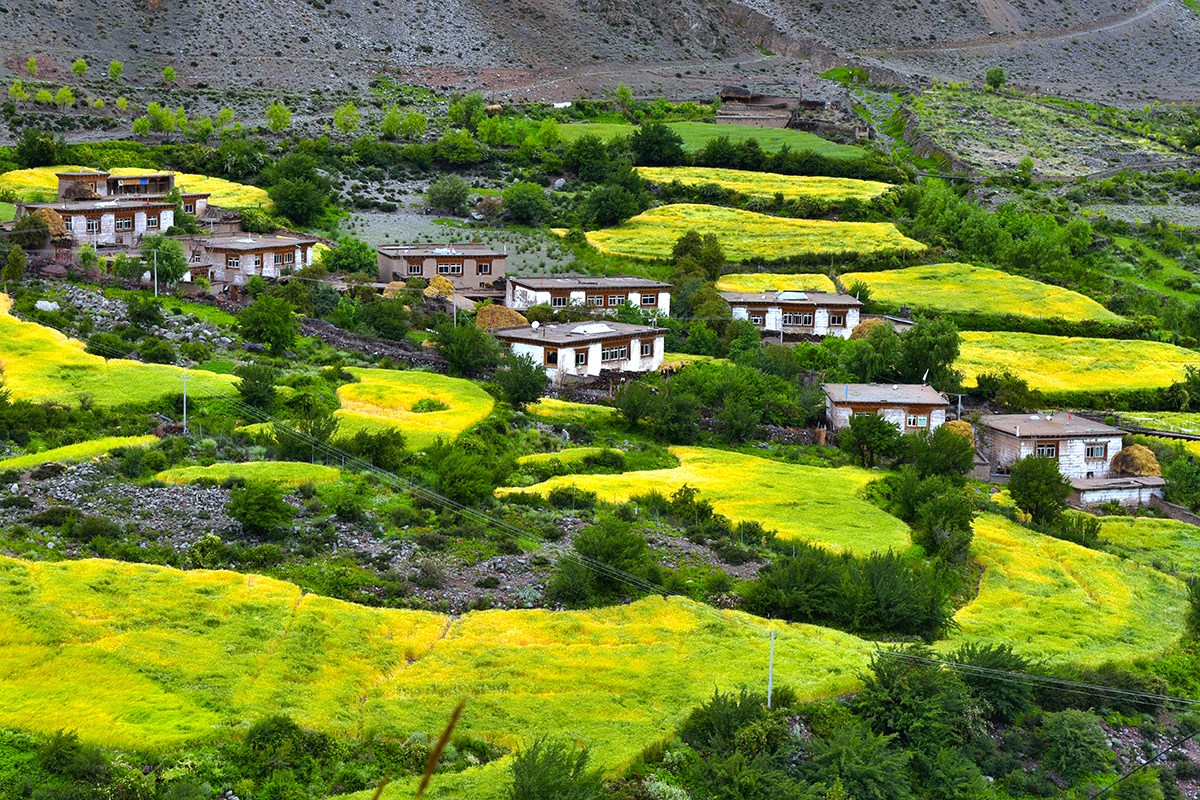 Landscape of Baxoi | Photo par Liu Bin