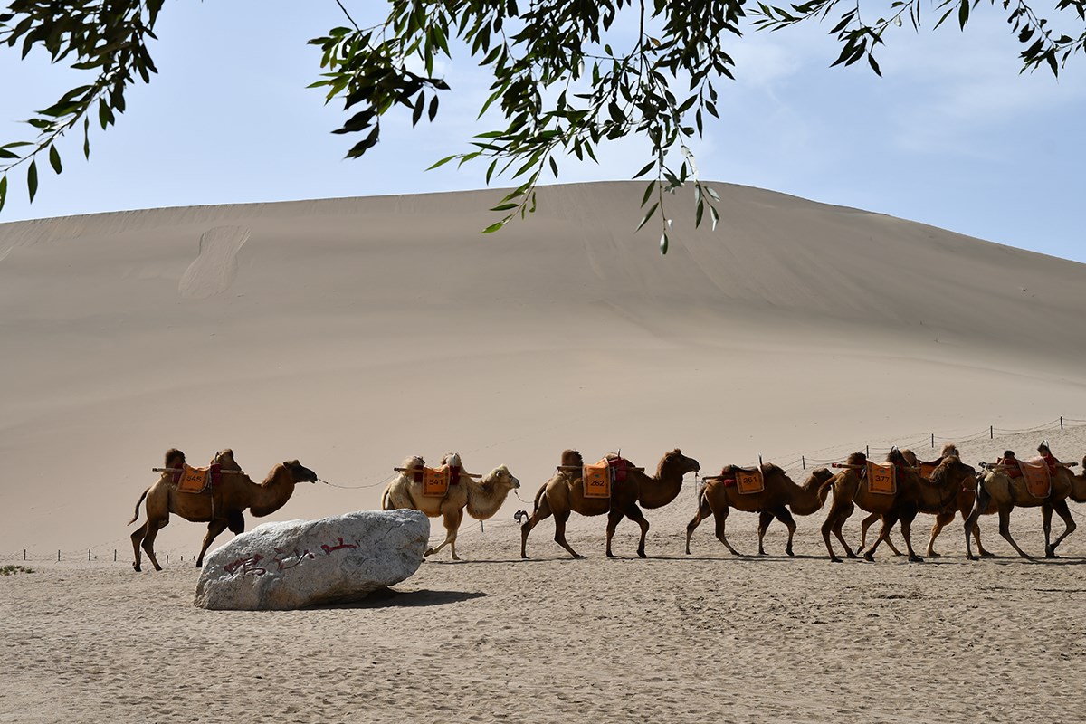 Singing Sand Dunes in Dunhuang | Photo par Liu Bin