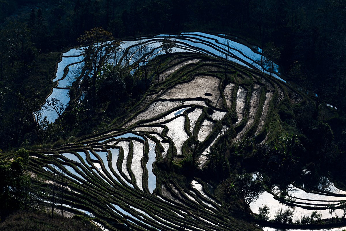 Yuanyang Terrace | Photo par Min Zhao