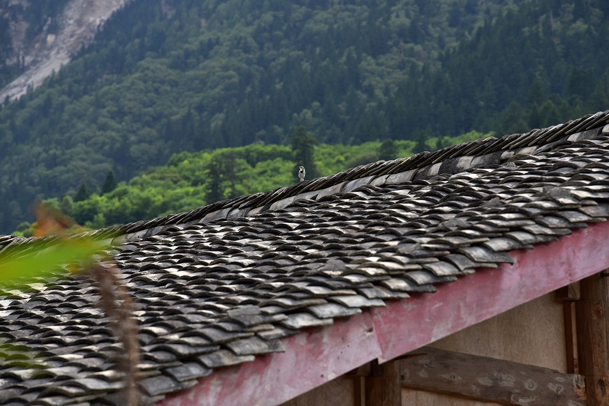 Tibetan Haus | Photo par Liu Bin