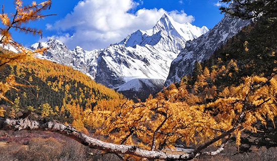 Voyage de 4 Jours à Daocheng Yading