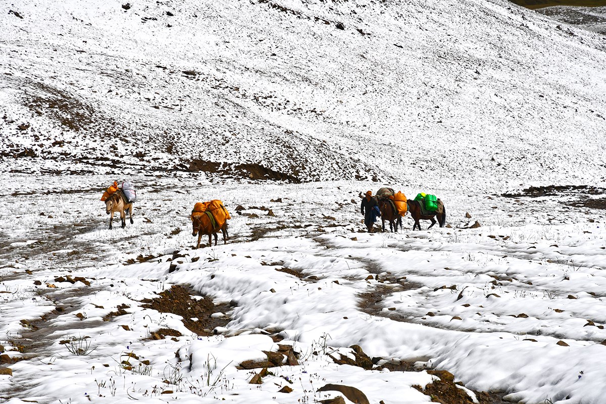 Trekking at Gongga Mountain | Photo par Liu Bin