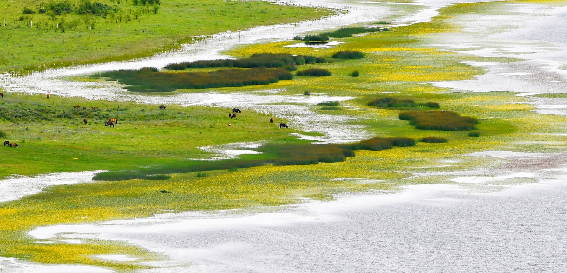 Trekking de Yilhun Lhatso à Dege dans Kham