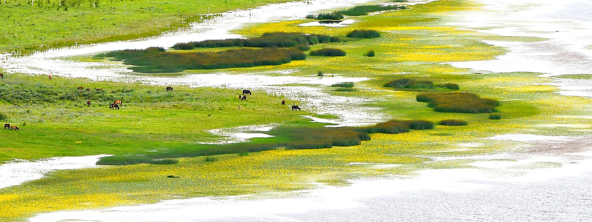 Voyage de Luxe au Tibet