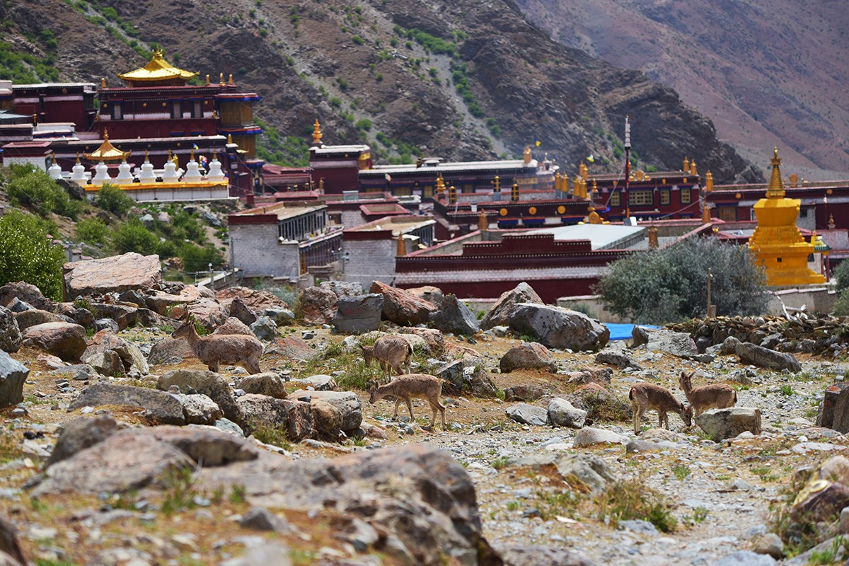 Tsurpu Monastery