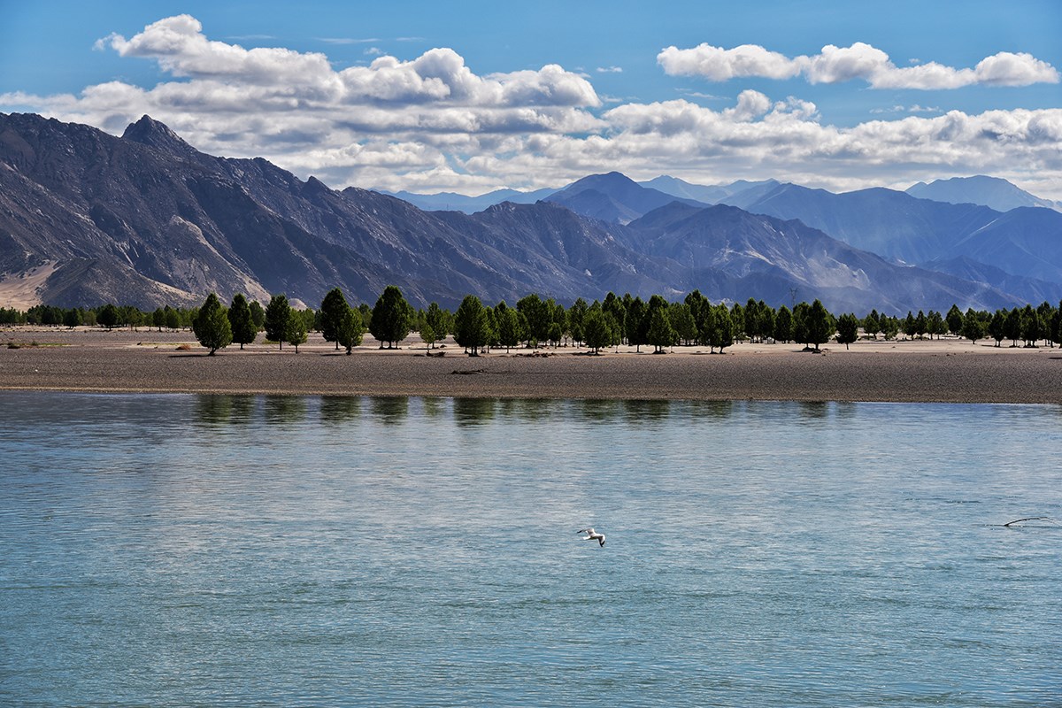 Yarlung Tsangpo in Chushur