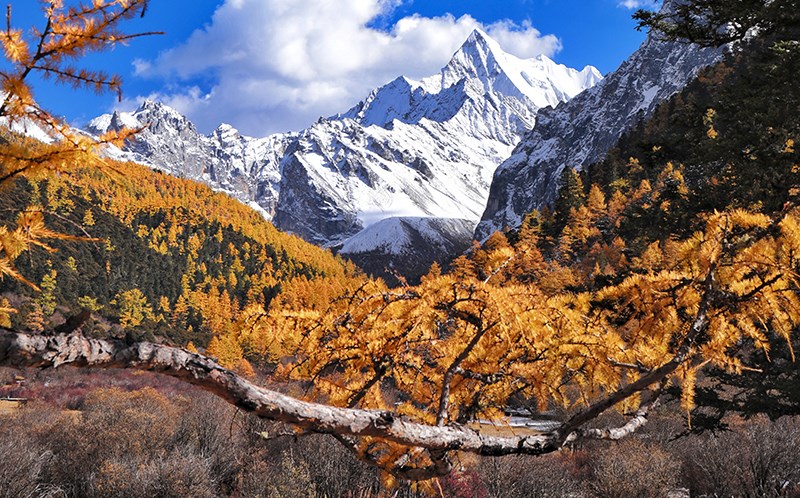 Yading Xialuoduoji 