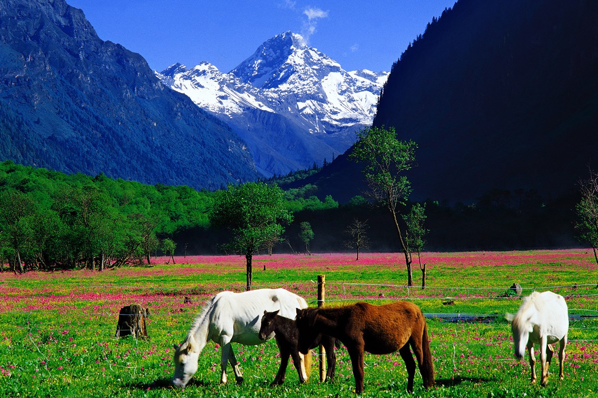 Abi Peak in Shuangqiaogou | Photo par Huang Jizhou