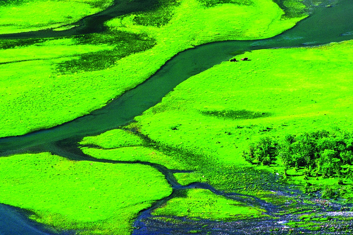 Summer of Haizigou | Photo par Huang Jizhou
